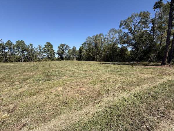 2 Acres of Residential Land for Sale in Grand Cane, Louisiana