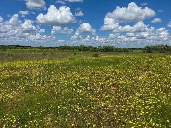 125 Acres of Recreational Land for Sale in Rochelle, Texas