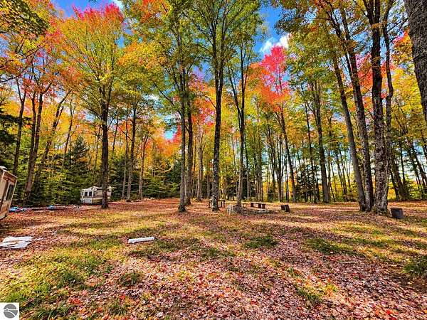 10 Acres of Recreational Land for Sale in Kalkaska, Michigan