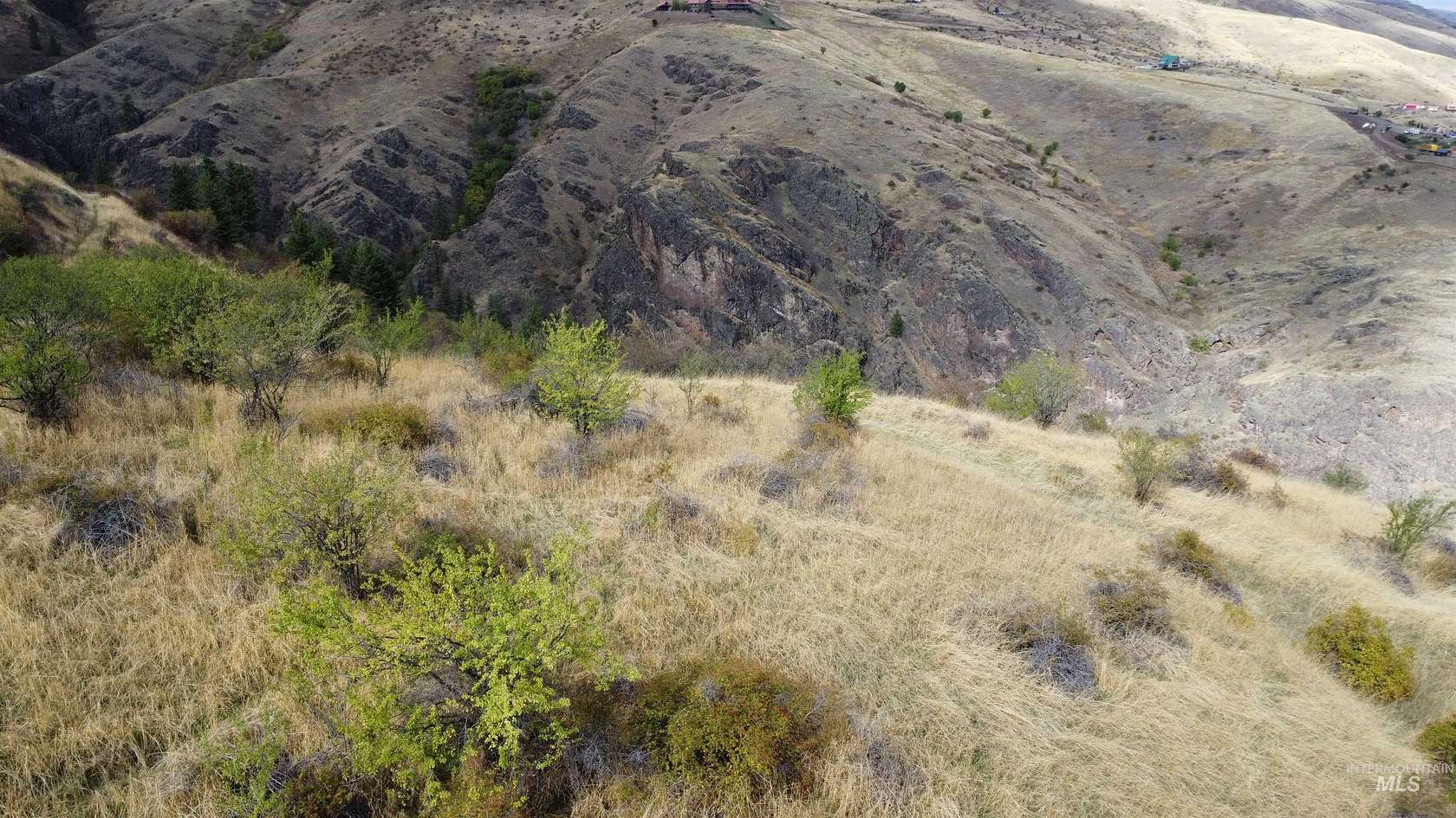 23.5 Acres of Land for Sale in White Bird, Idaho
