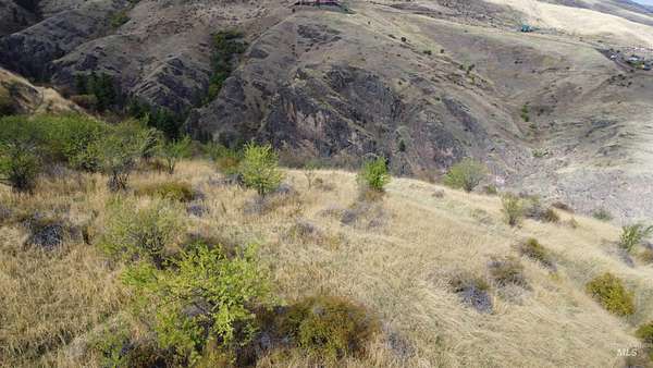 23.5 Acres of Land for Sale in White Bird, Idaho