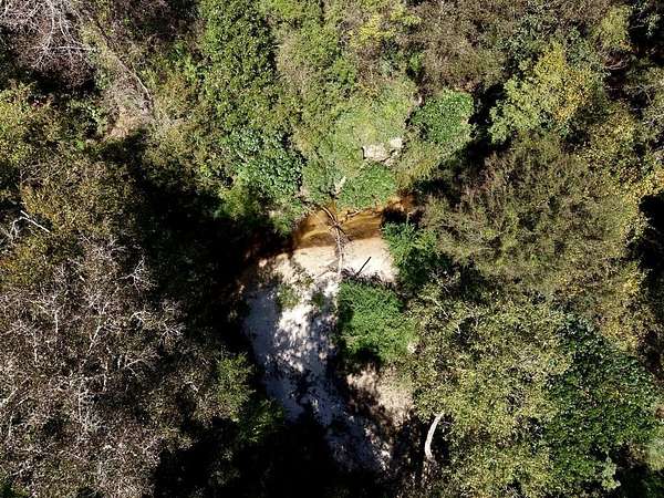 21.8 Acres of Recreational Land for Sale in Poplarville, Mississippi