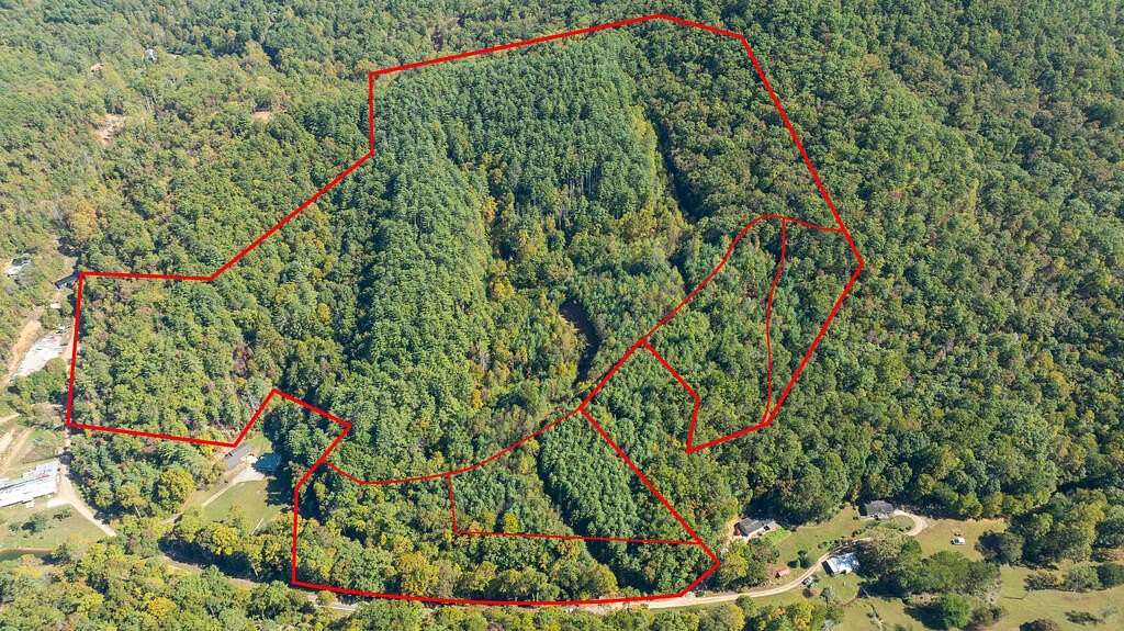 33.3 Acres of Recreational & Residential Land for Sale in Franklin, North Carolina