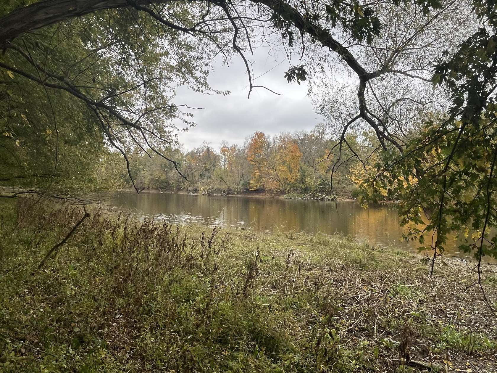 4 Acres of Residential Land for Sale in Lowell, Michigan