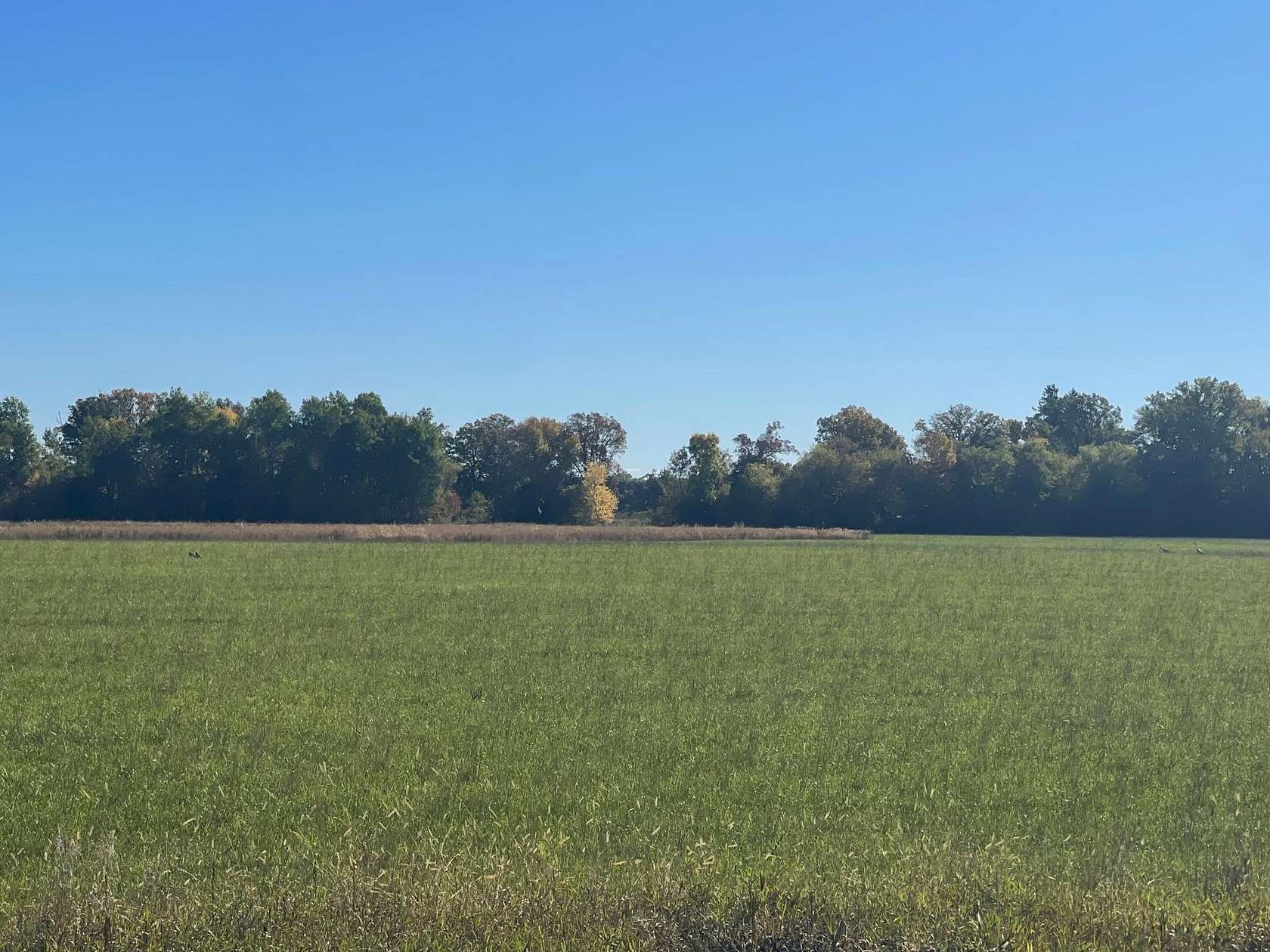 6.22 Acres of Residential Land for Sale in Princeton, Minnesota