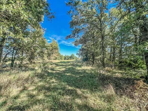 7 Acres of Residential Land for Sale in Madison, Missouri