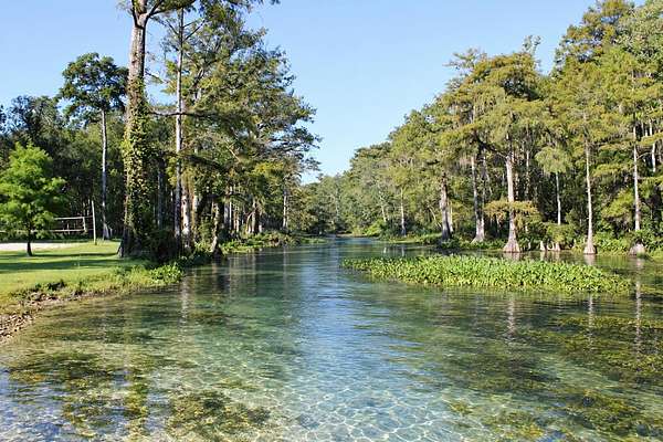 4 Acres of Land for Sale in Monticello, Florida
