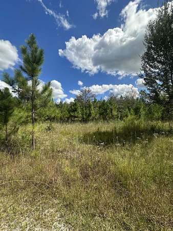 10.3 Acres of Recreational & Residential Land for Sale in Altha, Florida