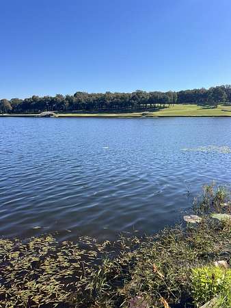 0.45 Acres of Land for Sale in Athens, Texas