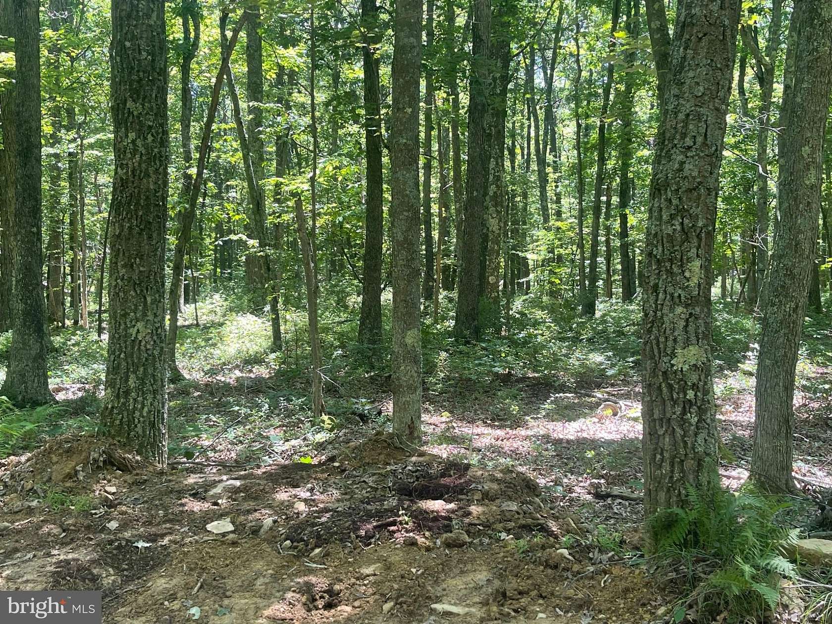 6 Acres of Recreational Land for Sale in Elk Garden, West Virginia