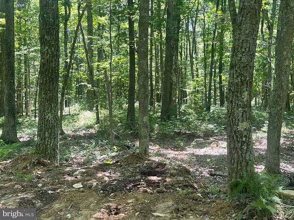 6 Acres of Recreational Land for Sale in Elk Garden, West Virginia