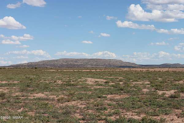 74.6 Acres of Recreational & Residential Land for Sale in Concho, Arizona