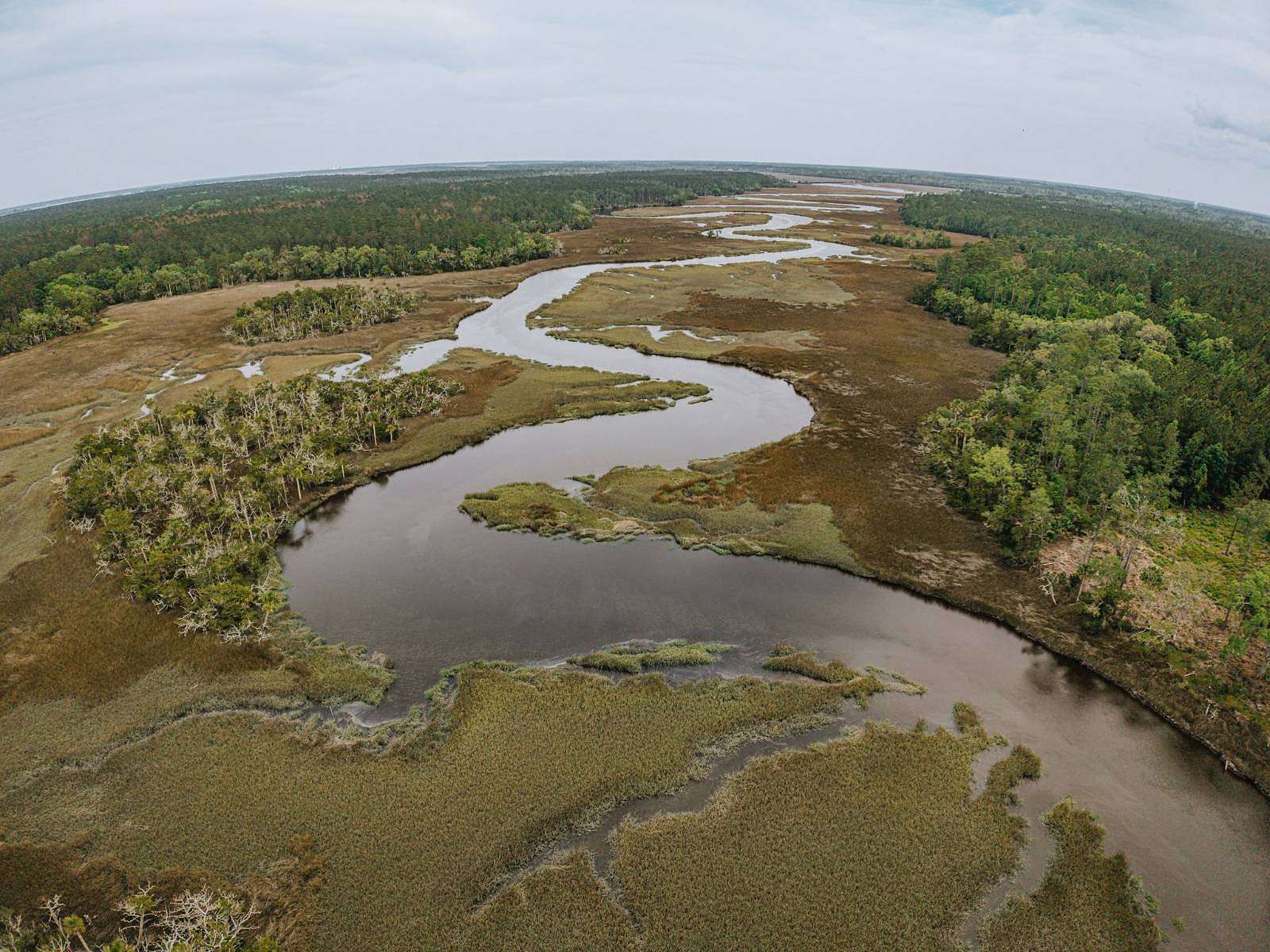 763 Acres of Recreational & Residential Land for Sale in Brunswick, Georgia