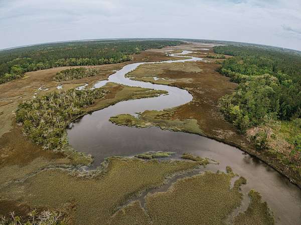 763 Acres of Recreational & Residential Land for Sale in Brunswick, Georgia