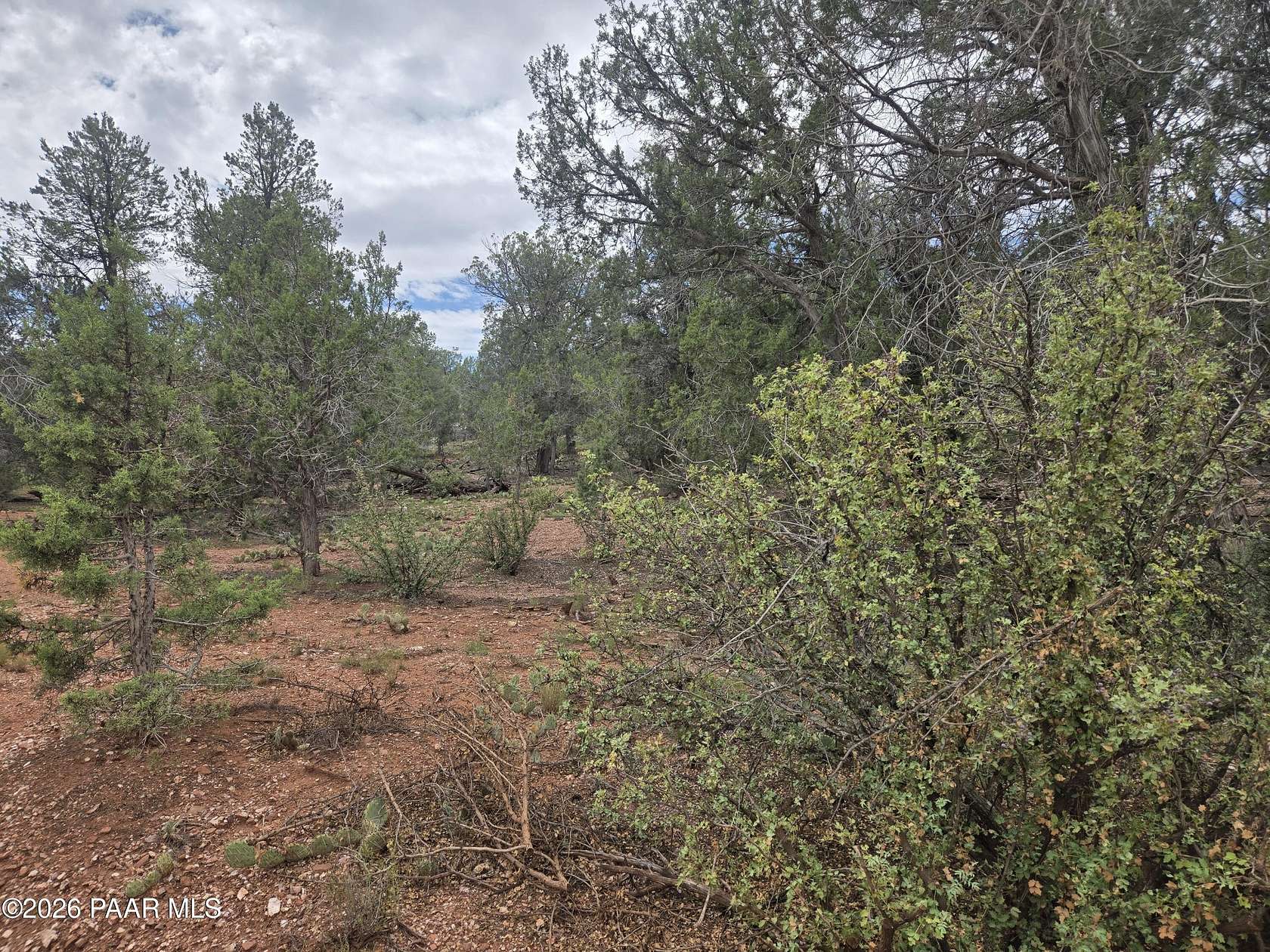 40 Acres of Land for Sale in Ash Fork, Arizona