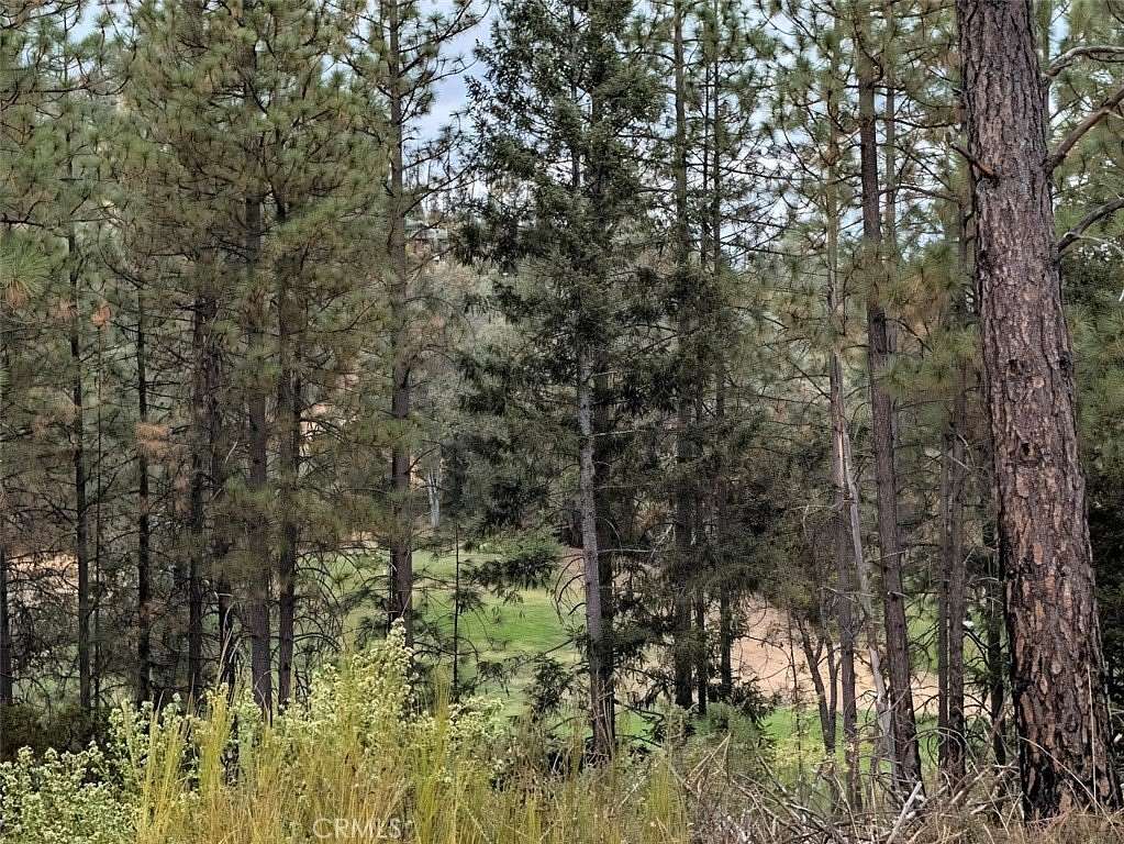 0.68 Acres of Residential Land for Sale in Cobb, California