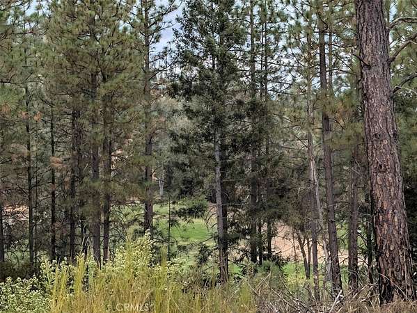 0.68 Acres of Residential Land for Sale in Cobb, California