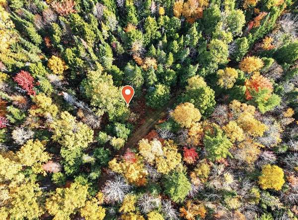 13.6 Acres of Recreational & Residential Land for Sale in Lagrange, Maine