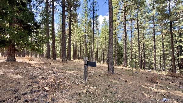0.45 Acres of Residential Land for Sale in Portola, California