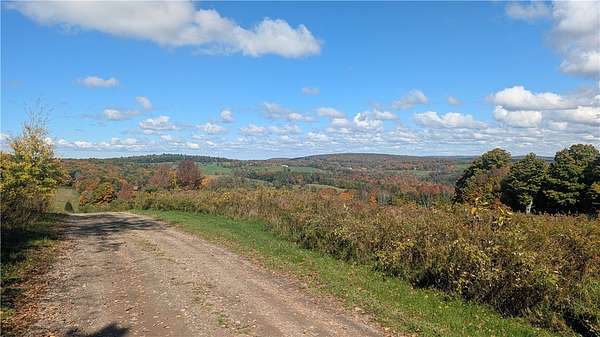 9.16 Acres of Residential Land for Sale in Unadilla, New York