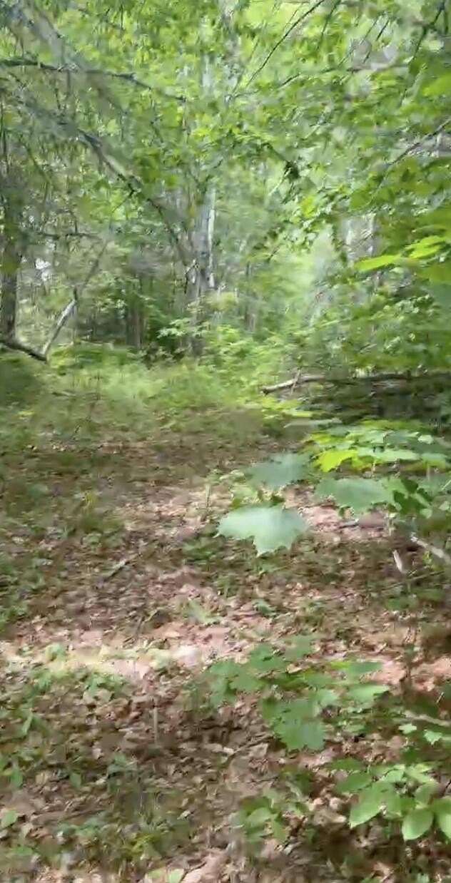 0.6 Acres of Residential Land for Sale in Phillips, Maine