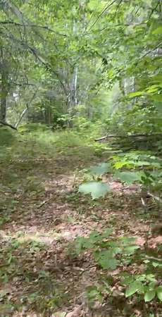 0.6 Acres of Residential Land for Sale in Phillips, Maine