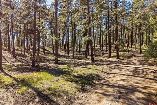 3.2 Acres of Residential Land for Sale in Bayfield, Colorado