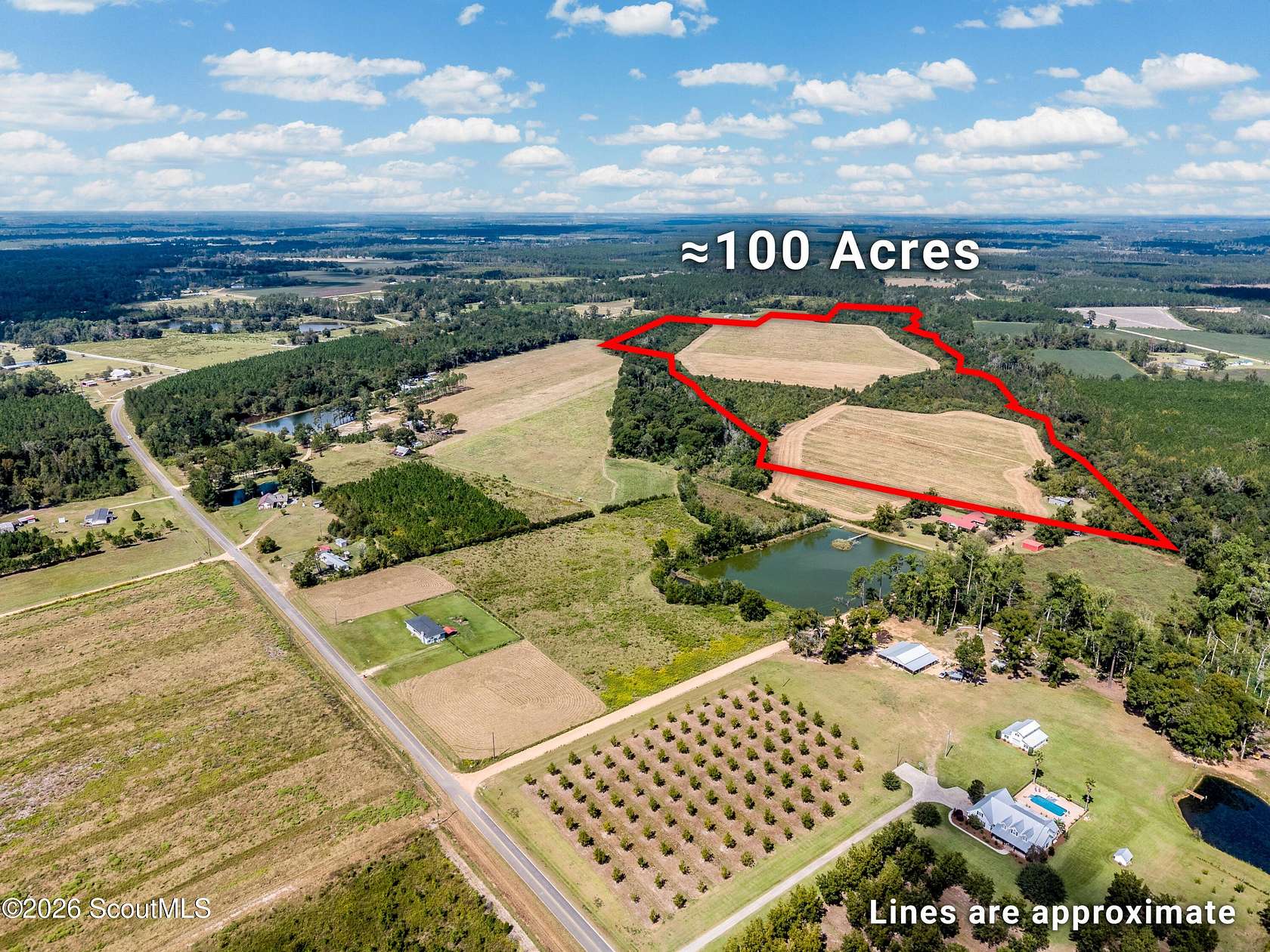 119 Acres of Recreational Land for Sale in Alma, Georgia