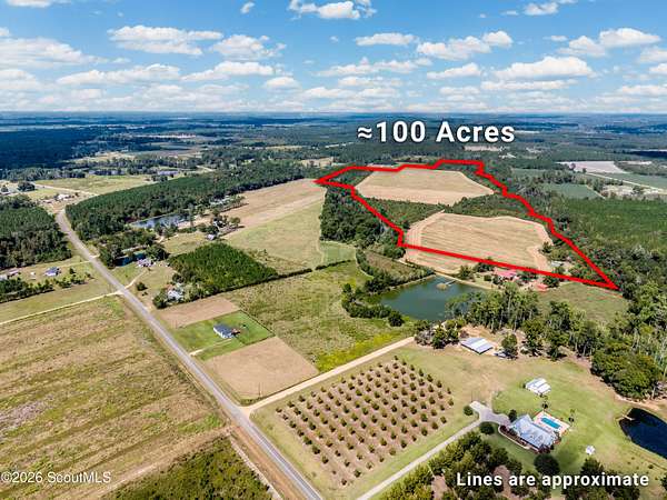 119 Acres of Recreational Land for Sale in Alma, Georgia