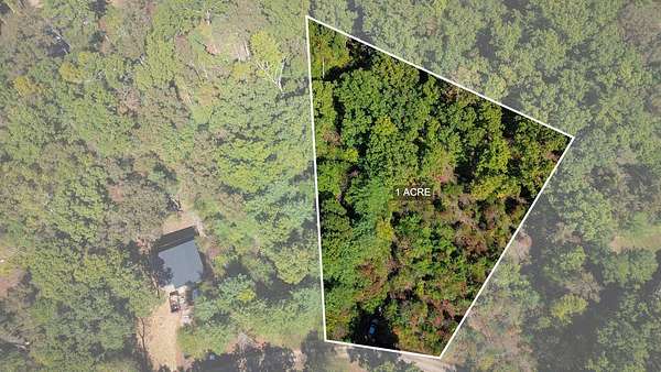 1 Acre of Residential Land for Sale in Blue Ridge, Georgia