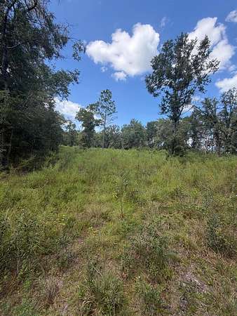 5 Acres of Residential Land for Sale in Fort White, Florida