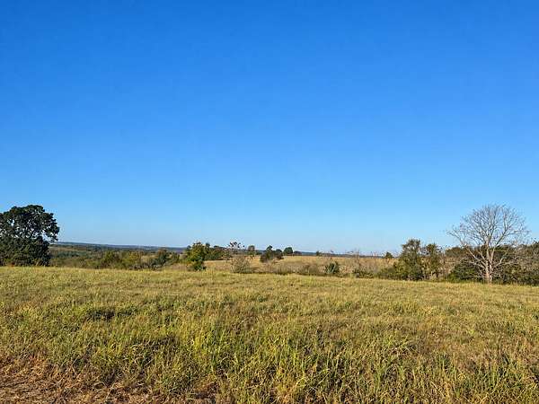 5 Acres of Land for Sale in Lead Hill, Arkansas