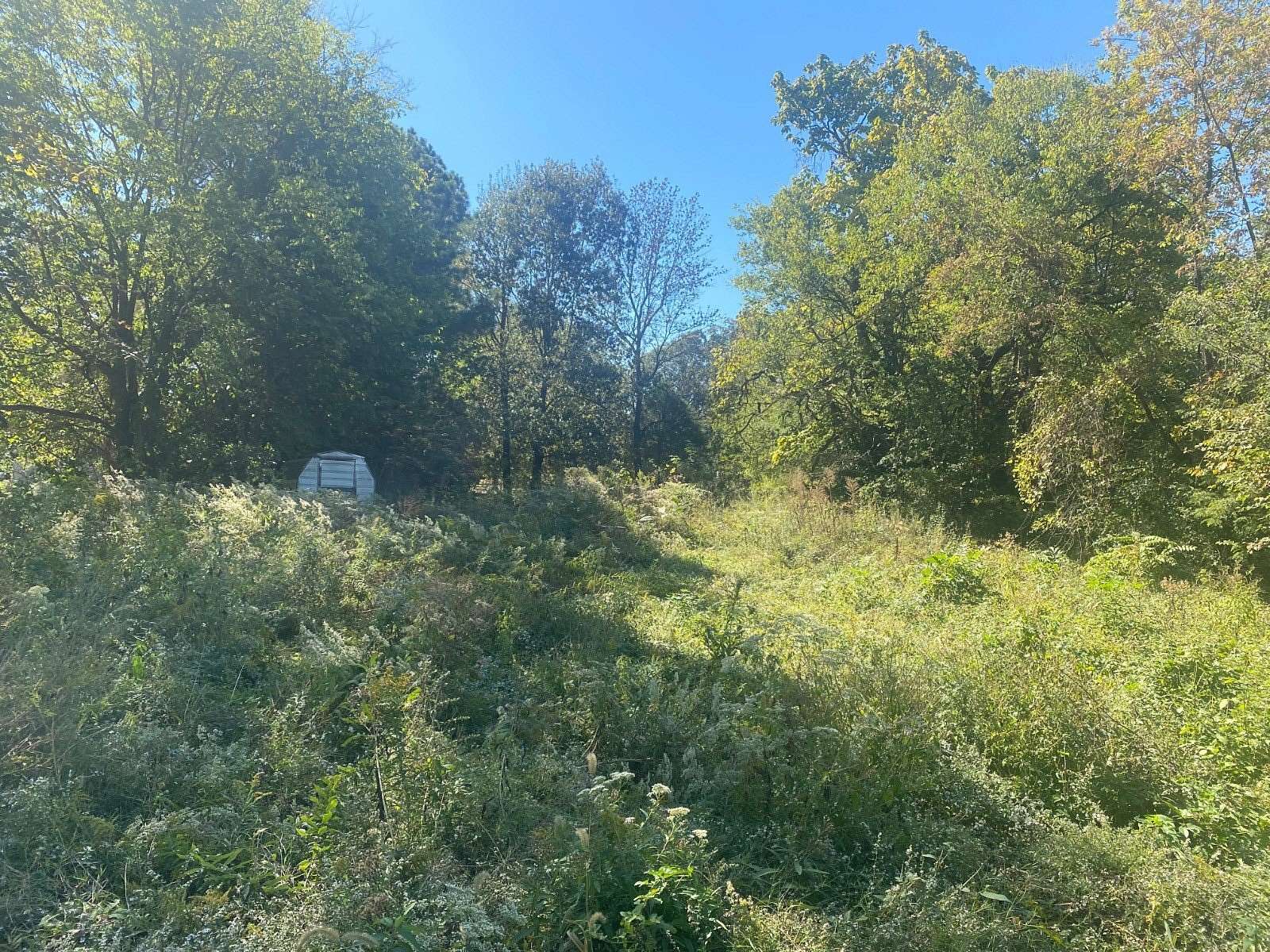 0.44 Acres of Land for Sale in Calhoun, Kentucky