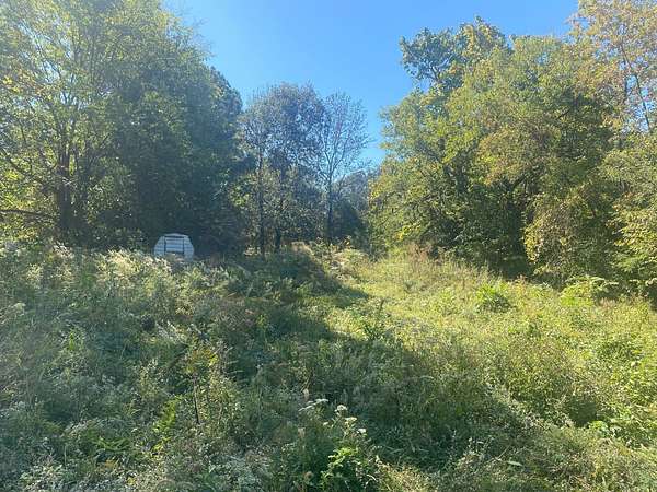 0.44 Acres of Land for Sale in Calhoun, Kentucky