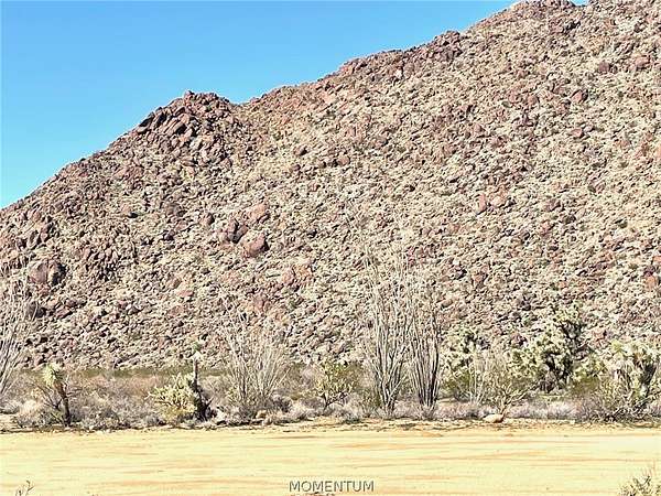 40 Acres of Improved Land for Sale in Yucca, Arizona