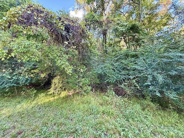 0.27 Acres of Residential Land for Sale in Hemphill, Texas