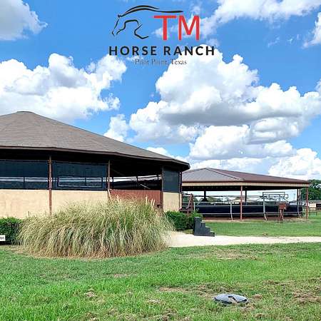 23 Acres of Agricultural Land for Sale in Pilot Point, Texas
