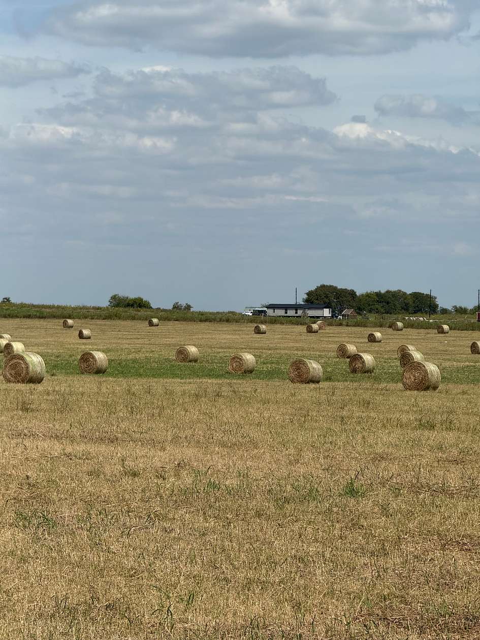 58 Acres of Agricultural Land for Sale in Barry, Texas