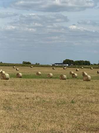 58 Acres of Agricultural Land for Sale in Barry, Texas