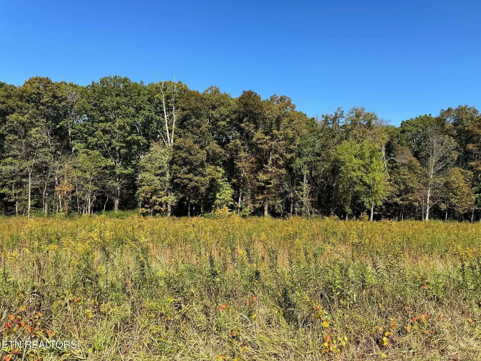 5 Acres of Residential Land for Sale in Rockwood, Tennessee