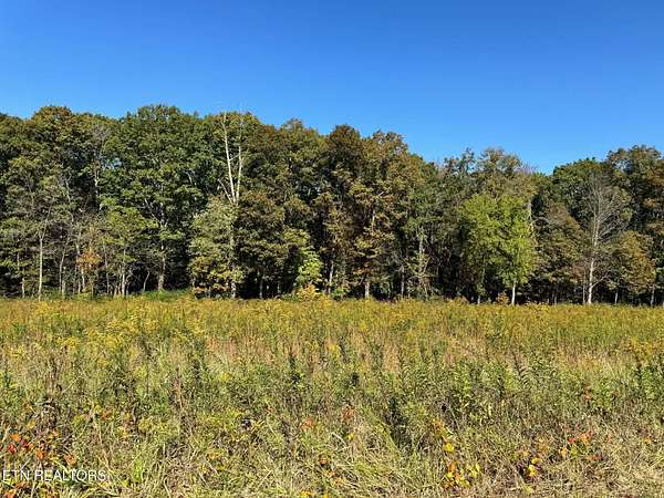5 Acres of Residential Land for Sale in Rockwood, Tennessee