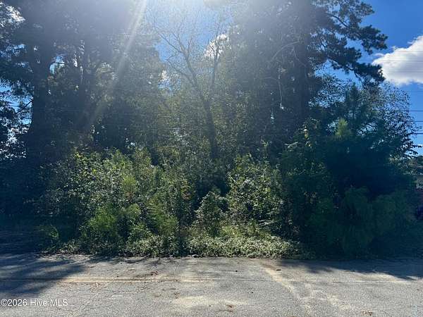 0.36 Acres of Residential Land for Sale in Kinston, North Carolina