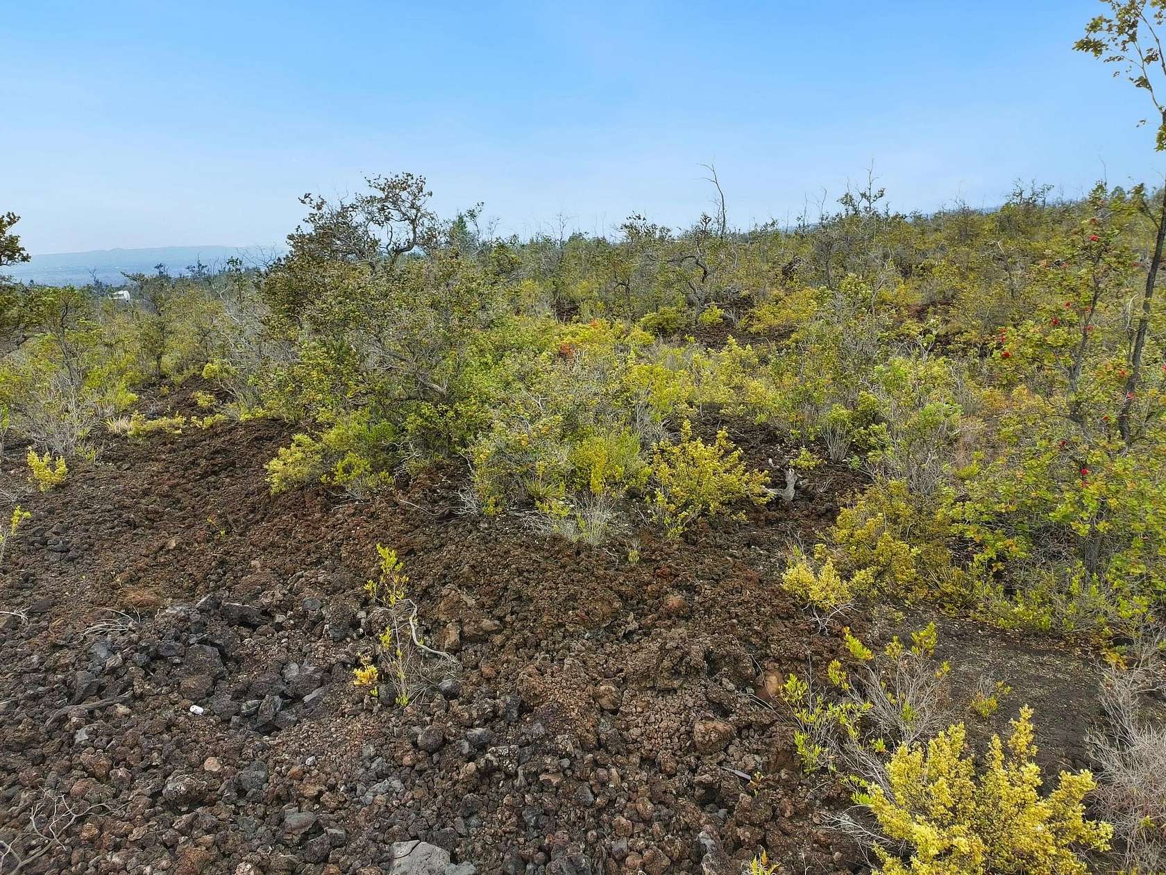 1 Acre of Land for Sale in Hawaiian Ocean View, Hawaii