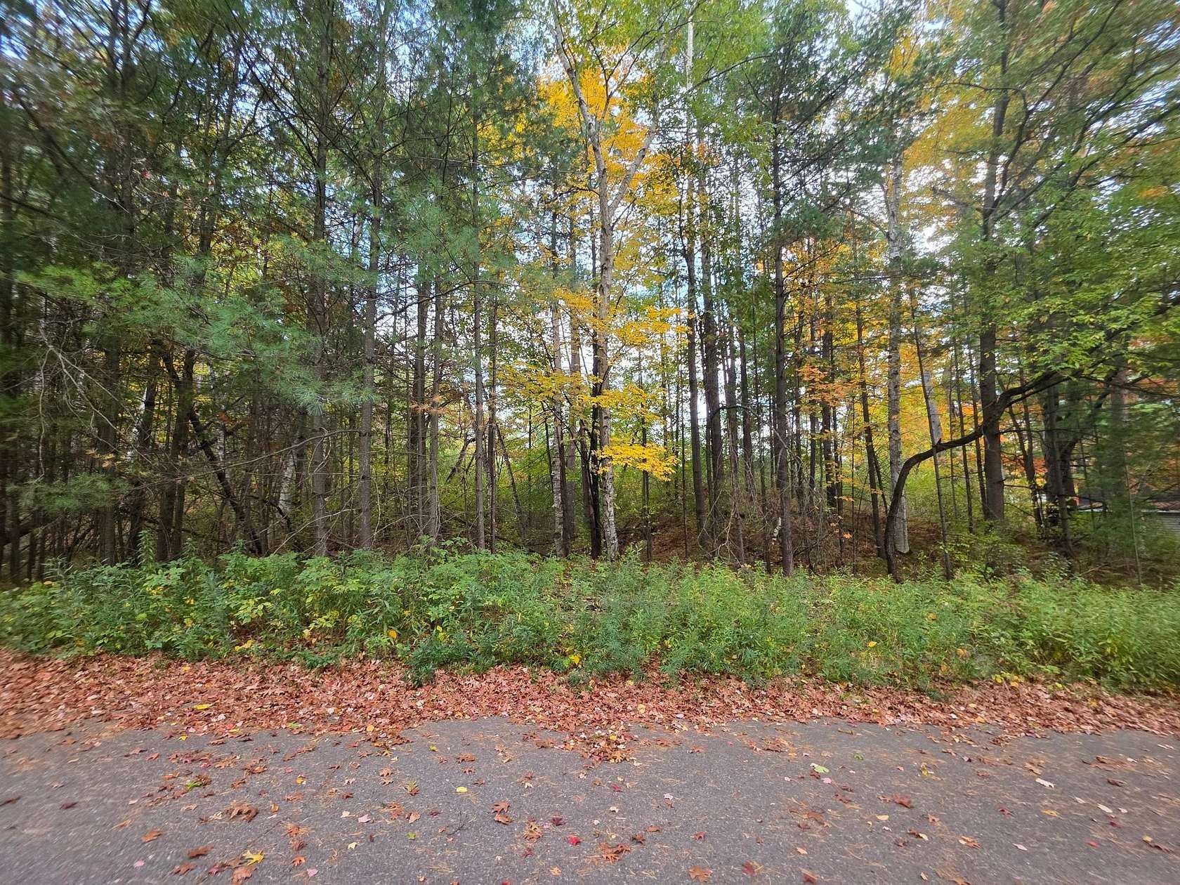 0.6 Acres of Residential Land for Sale in Tomahawk, Wisconsin