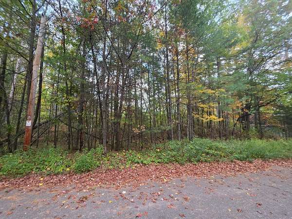 0.3 Acres of Residential Land for Sale in Tomahawk, Wisconsin