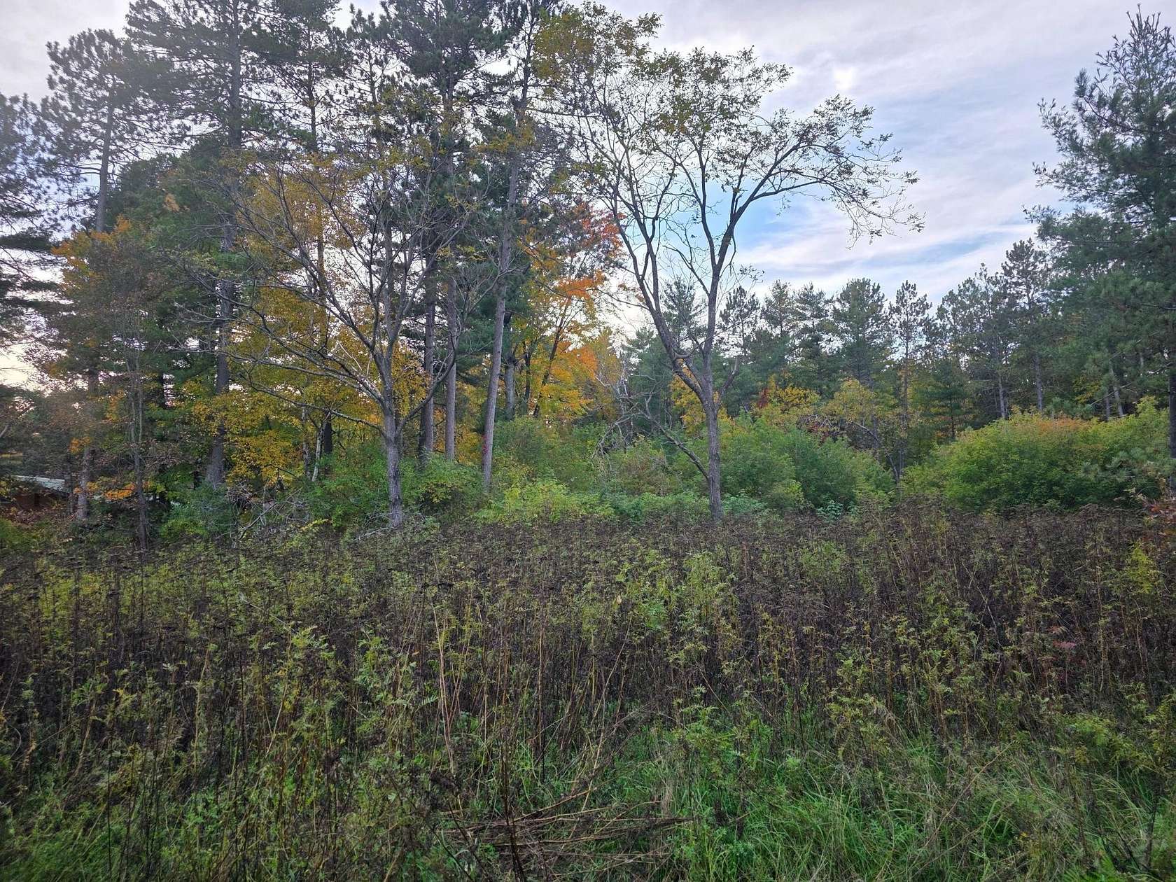 0.35 Acres of Residential Land for Sale in Tomahawk, Wisconsin