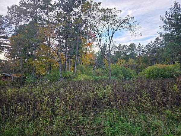 0.35 Acres of Residential Land for Sale in Tomahawk, Wisconsin