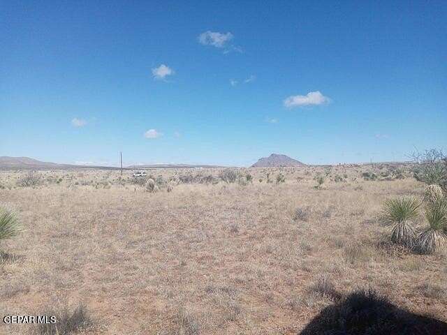 10 Acres of Land for Sale in Fort Hancock, Texas