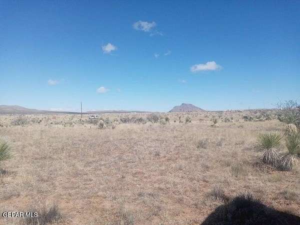 10 Acres of Land for Sale in Fort Hancock, Texas