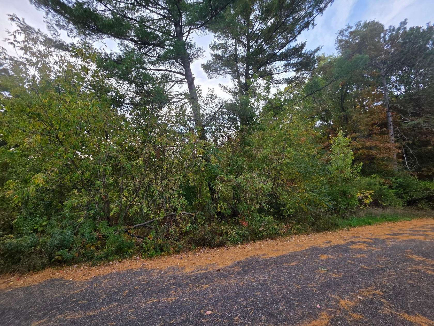 1.3 Acres of Residential Land for Sale in Tomahawk, Wisconsin
